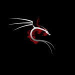 Power of Kali Linux in Cybersecurity