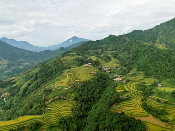 Vietnam's Farming