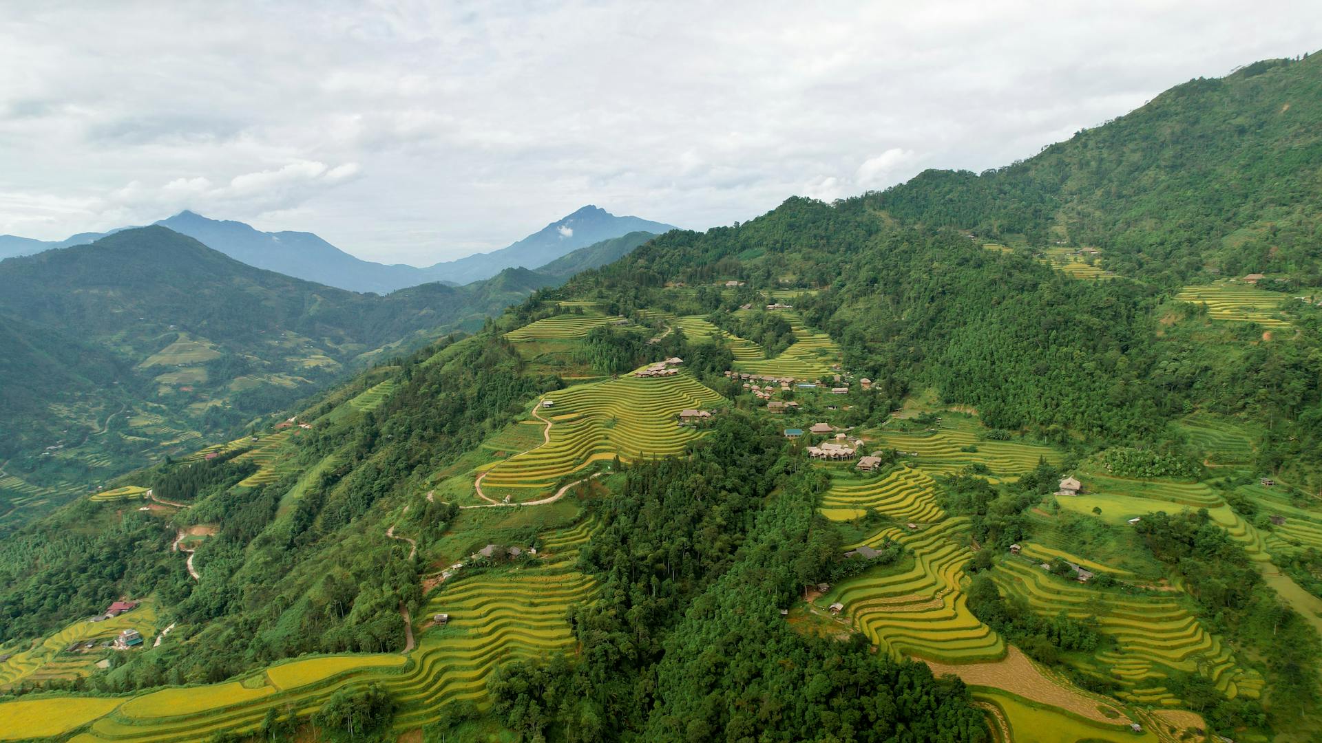 Vietnam's Farming